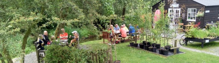 Plant nursery coffee stop, West Wales Beano